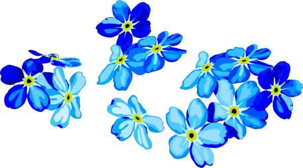 Цветы незабудки на прозрачном фоне