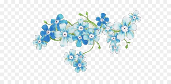 Незабудки векторные