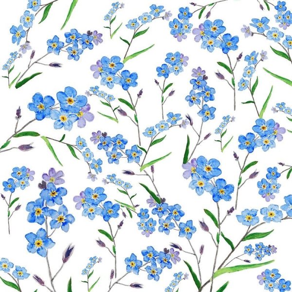 Орнамент незабудки