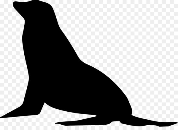 Нерпа силуэт