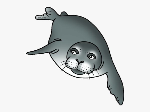 Тюлень мультяшный