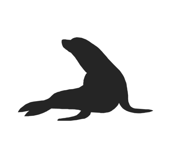 Нерпа силуэт