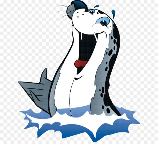 Морские котики мультяшные