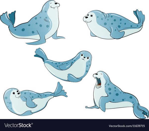 Стилизованные тюлени