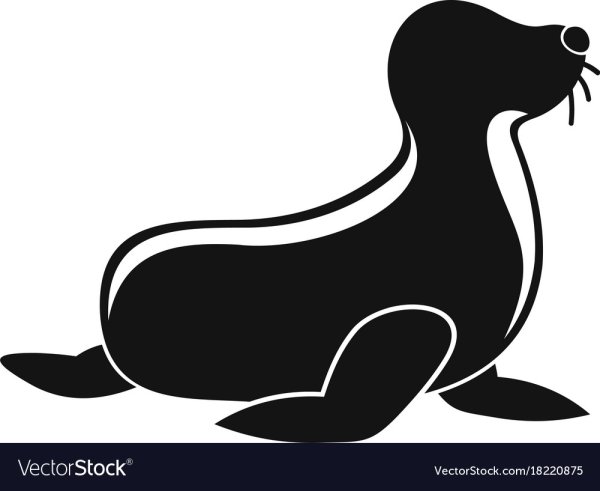 Морской котик силуэт