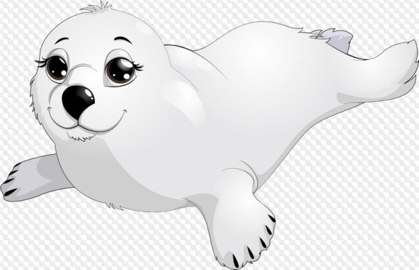 Байкальская Нерпа на прозрачном фоне