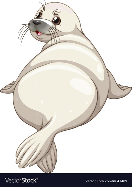 Тюлень мультяшный