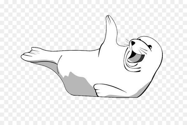 Тюлень мульт