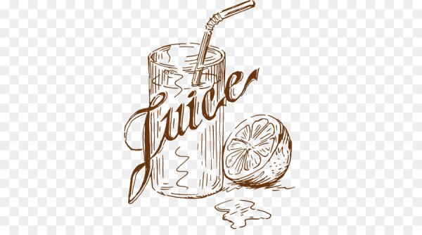 Напитки вектор скетч