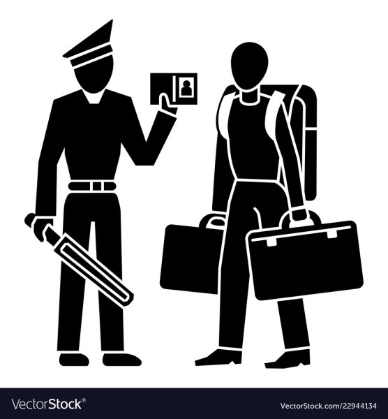 Таможенный контроль иконка