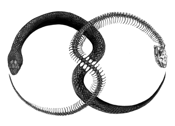 Змей бесконечности Уроборос