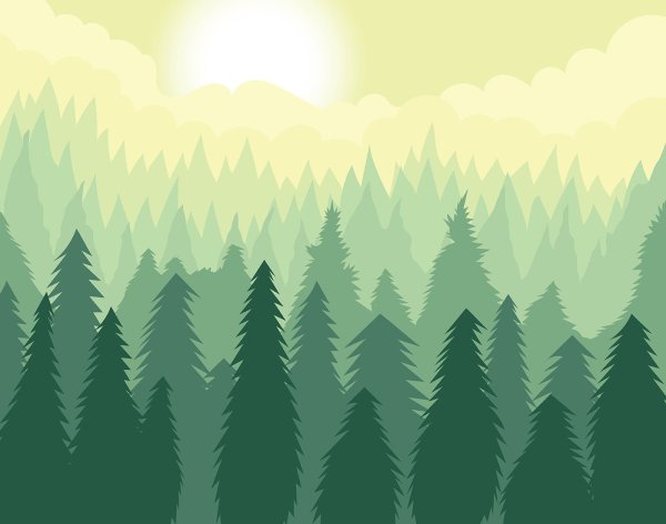 Силуэт леса