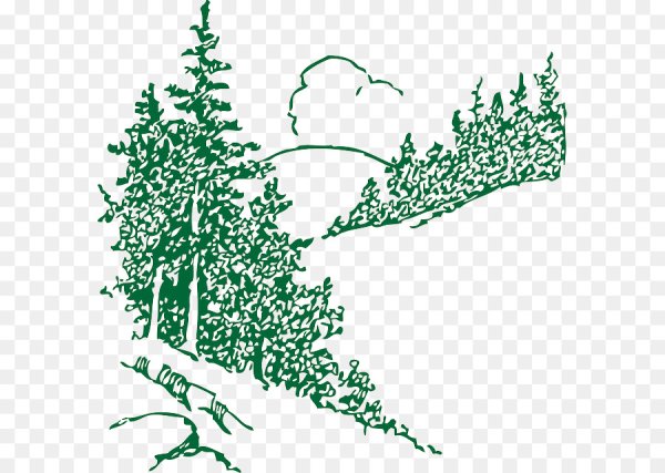 Лес векторное изображение