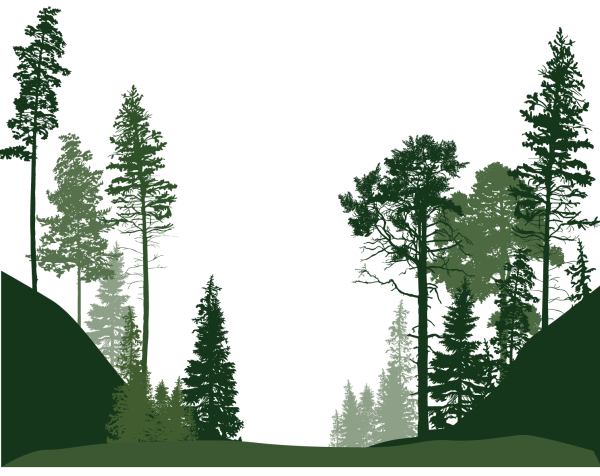 Очертания леса