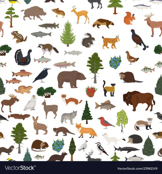 Лесные биомы животные