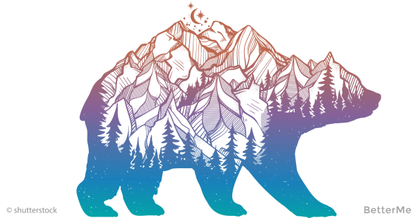 Наклейка горы медведь