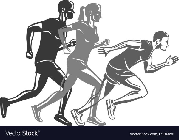 Спорт в графике