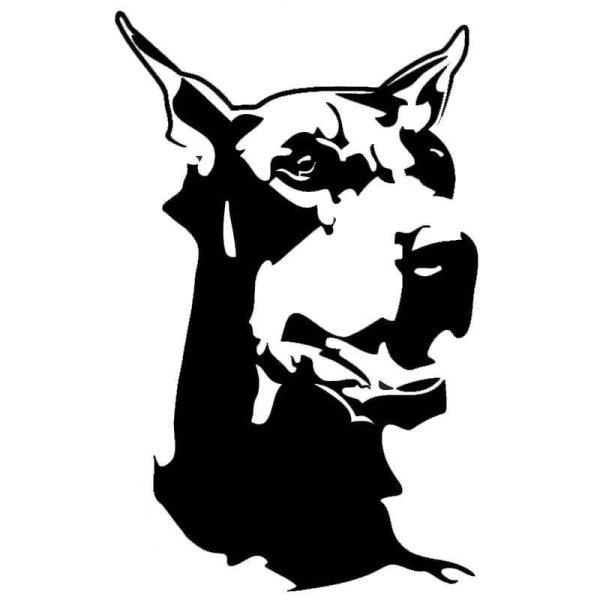 Собака Доберман вектор