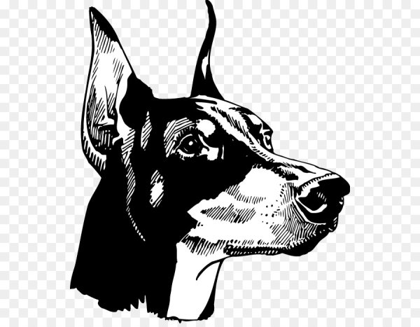 Доберман пинчер тату