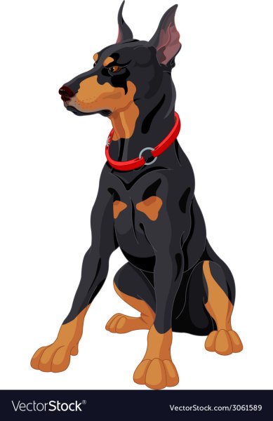 Собака Доберман вектор