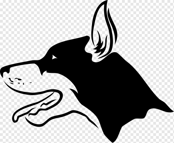 Злая собака