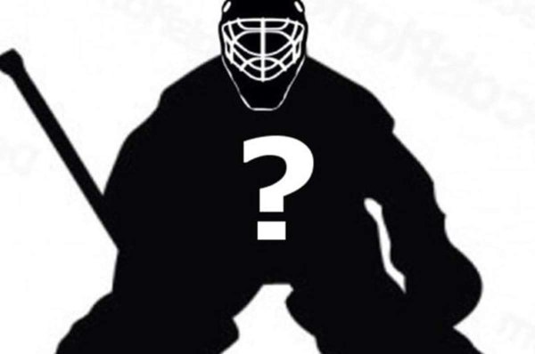 Вратарь хоккея силует вектор