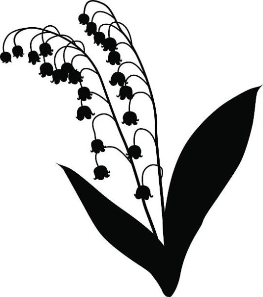 Ландыш силуэт