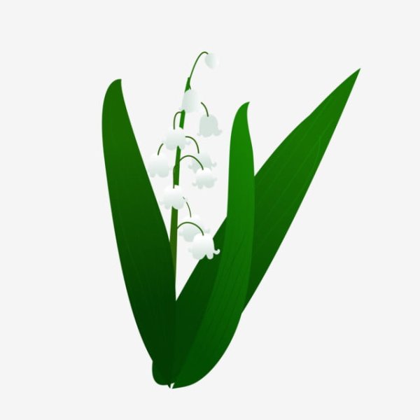 Ландыш вектор