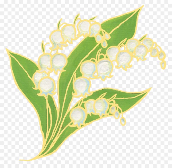 Веточка ландыша на прозрачном фоне