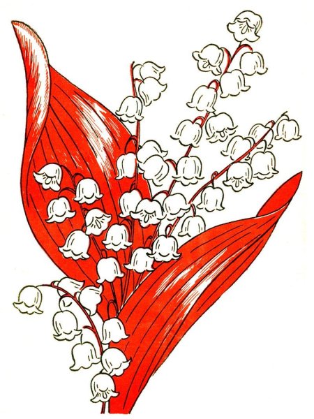 Ландыши Графика