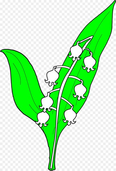 Ландыш рисунок