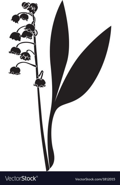 Ландыш силуэт