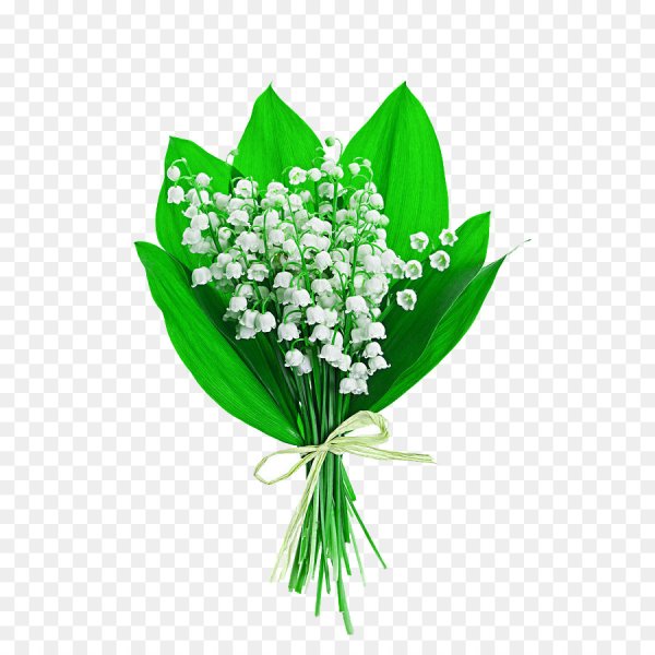 Ландыши мультяшные