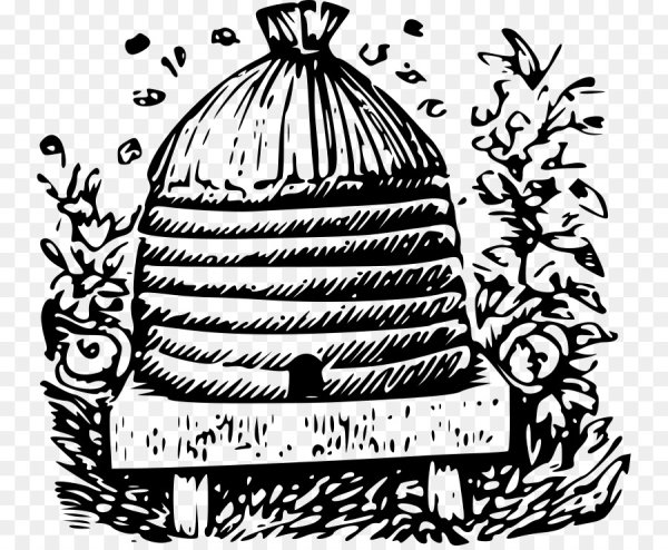 Пчелиный улей на прозрачном фоне