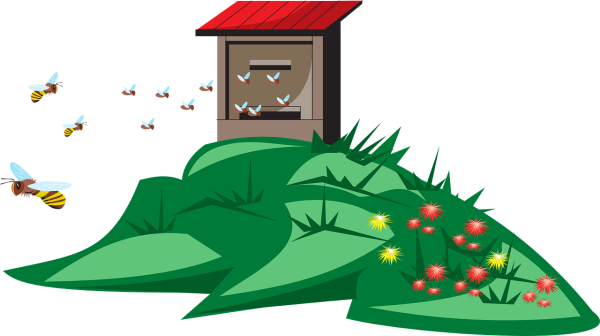 Клипарт мультяшный трава в ящике