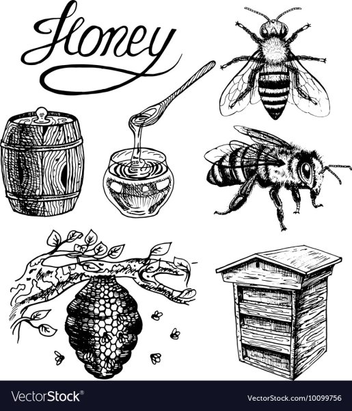 Улей черно-белый