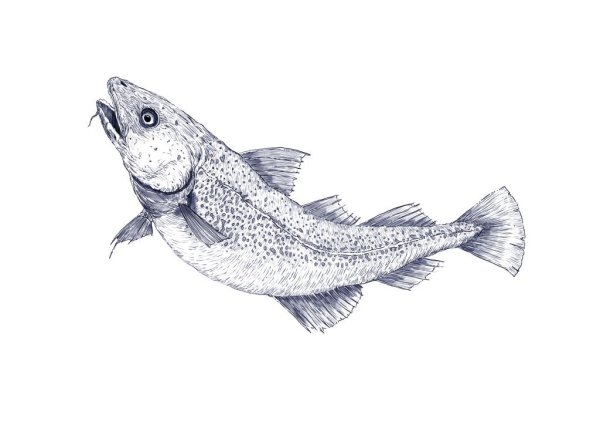 Треска для детей