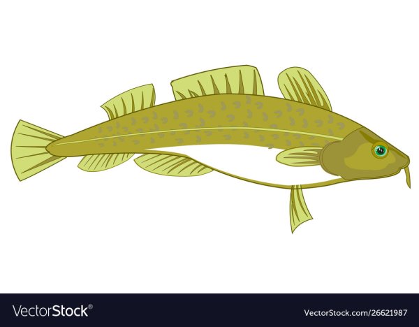 Треска рисунок на прозрачном фоне для детей