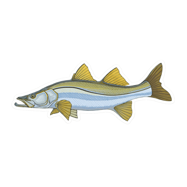 Треска рисунок для детей