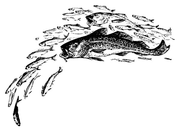 Треска Графика