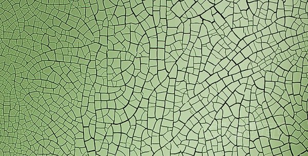 Кракелюр вектор