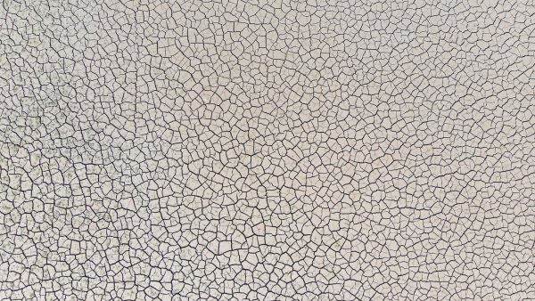 Потрескавшаяся кожа текстура