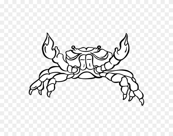 Краб контур