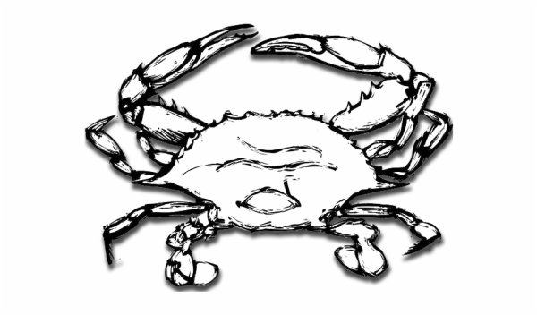 Краб векторное изображение