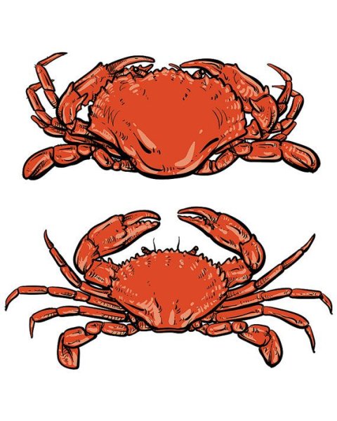 Краб арт Минимализм