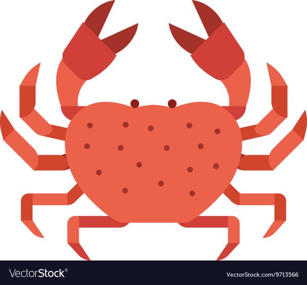 Морской краб без фона