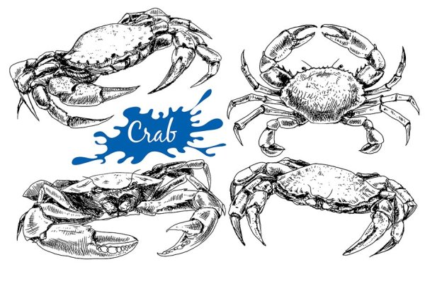 Рыба и краб вектор