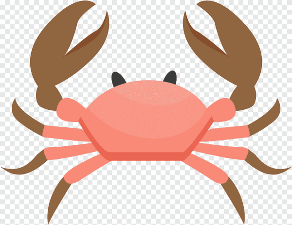 Краб сверху