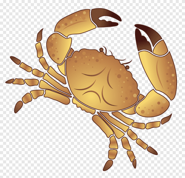 Морской краб вектор