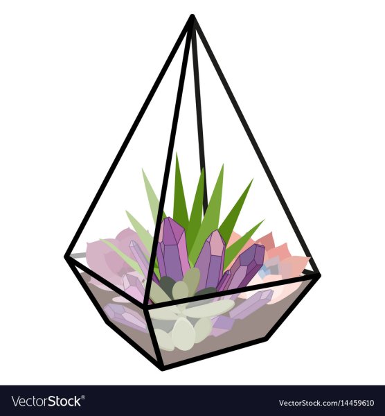 Логотип флорариумы